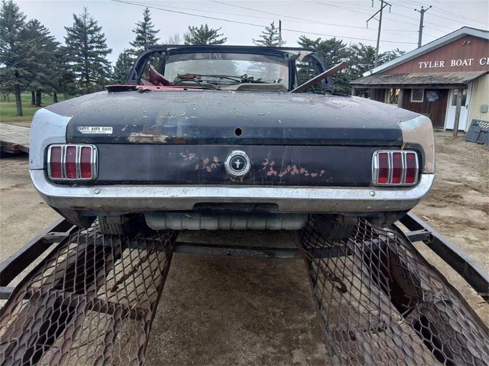1964 Ford Mustang 1st Gen (1964.5-1966) - Image 3 of 25