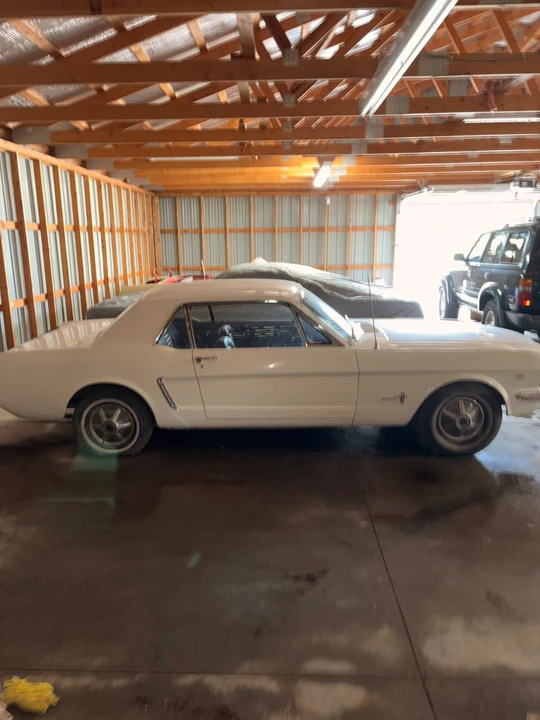 1964 Ford Mustang 1st Gen (1964.5-1966) - Image 6 of 20