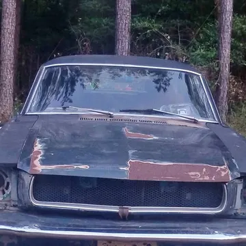 1964 Ford Mustang Coupe