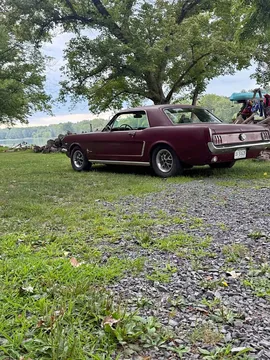 1964 Ford Mustang Coupe 2D