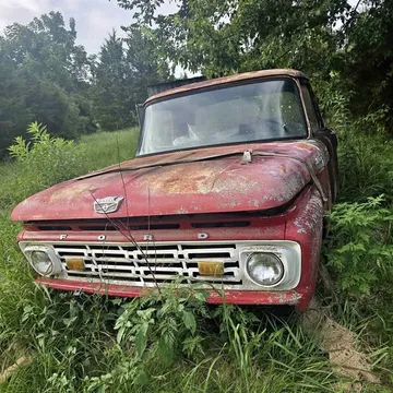 1964 Ford F100