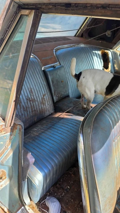 1964 Ford Thunderbird 3rd Gen - Image 8 of 8