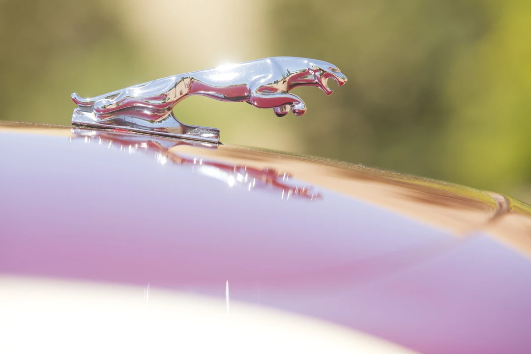 1964 Jaguar E-Type Series 1 - Image 24 of 31