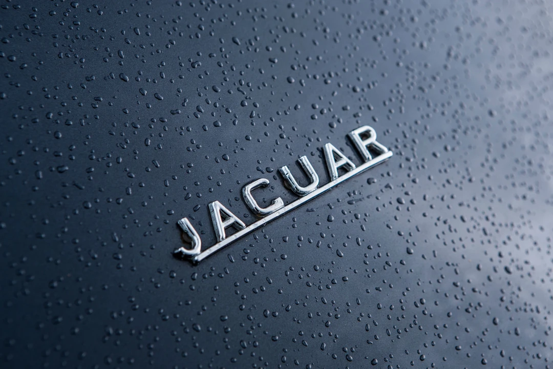 1964 Jaguar E-Type Series 1 - Image 13 of 15