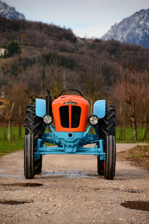1964 Lamborghini Tractors - Image 7 of 16