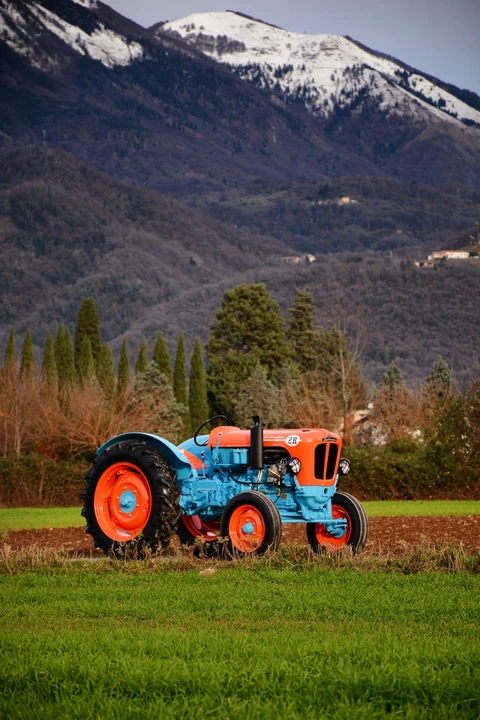 1964 Lamborghini Tractors - Image 6 of 16