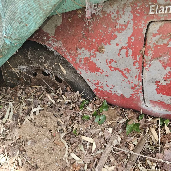 1964 Lotus Elan - Image 15 of 18