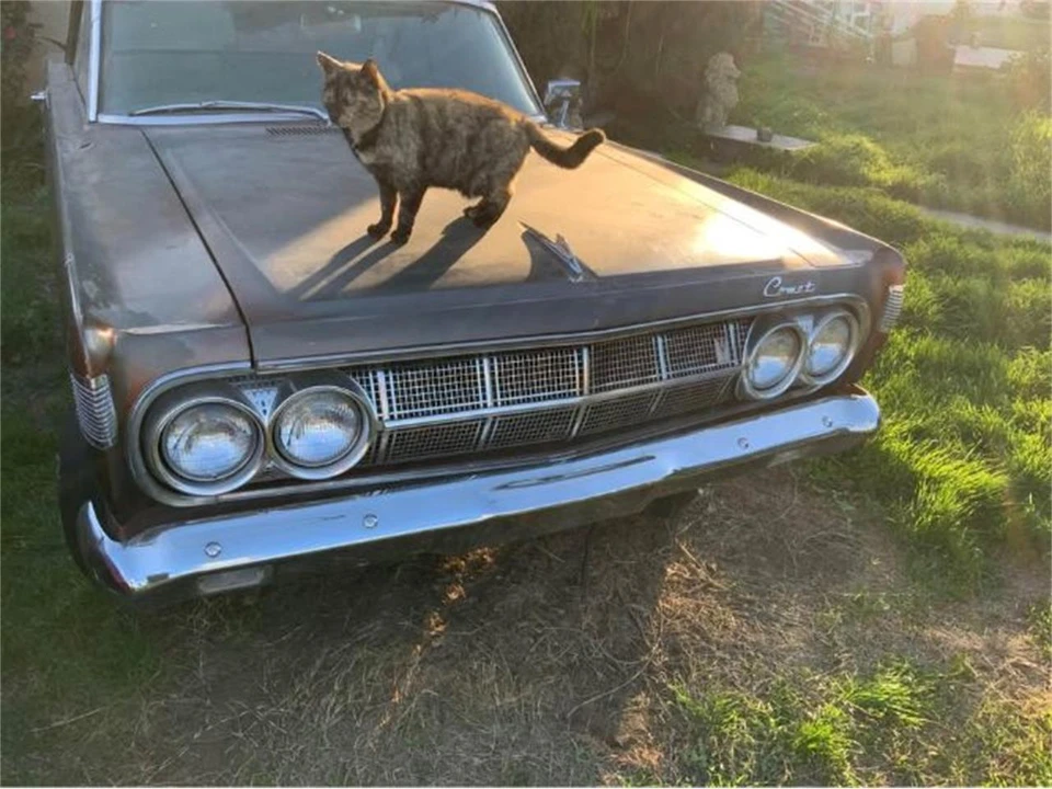 1964 Mercury Comet - Image 9 of 10