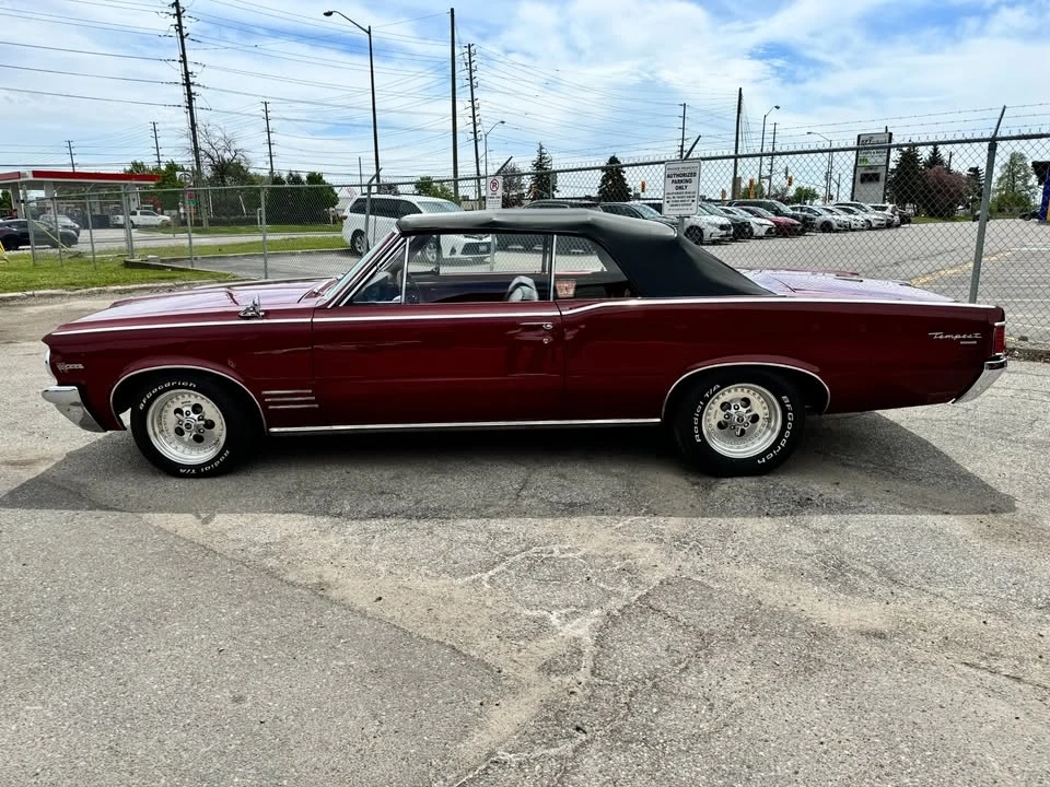 1964 Pontiac Tempest - Image 3 of 20