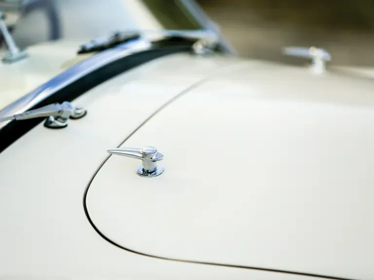 1964 Shelby Cobra 289 - Image 22 of 31