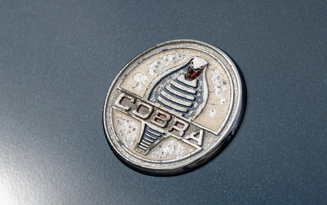 1964 Shelby Cobra 289 - Image 14 of 31