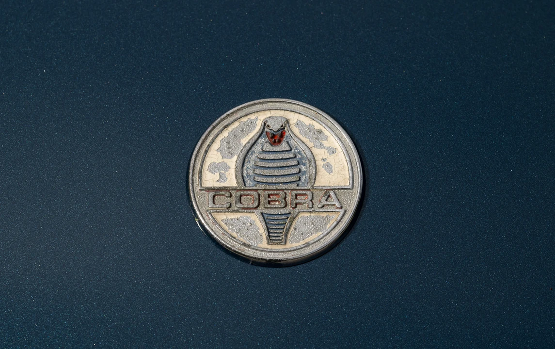 1964 Shelby Cobra 289 - Image 15 of 31