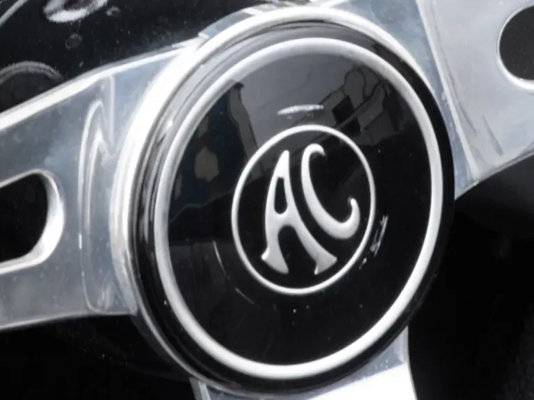 1964 Shelby Cobra 289 - Image 13 of 31