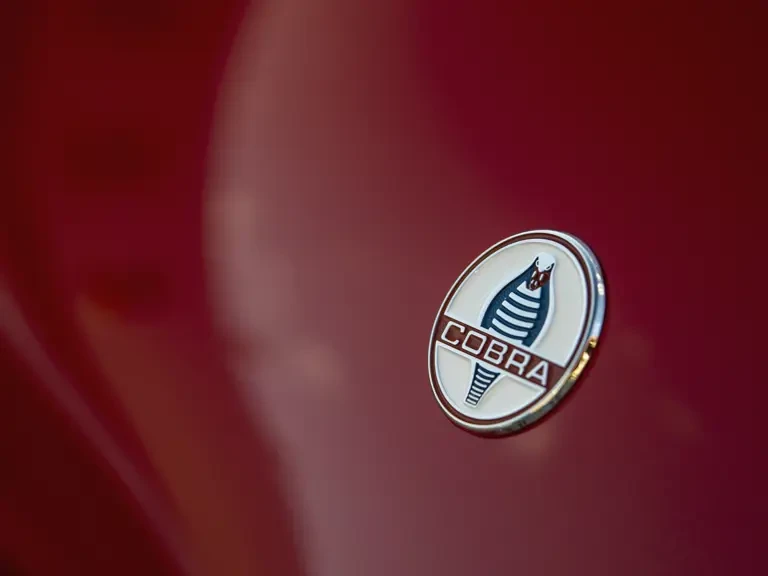 1964 Shelby Cobra 289 - Image 7 of 31