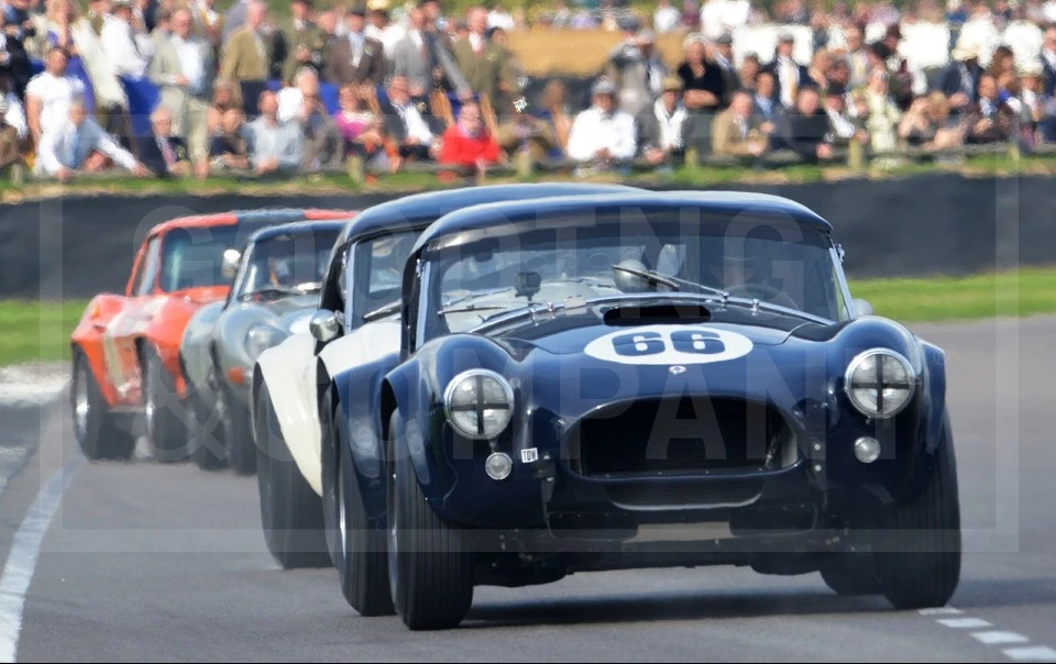 1964 Shelby Cobra 289 - Image 14 of 14