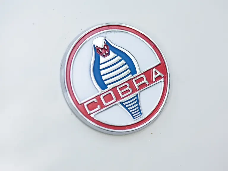 1964 Shelby Cobra 289 - Image 7 of 23