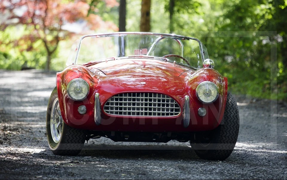 1964 Shelby Cobra 289 - Image 2 of 18