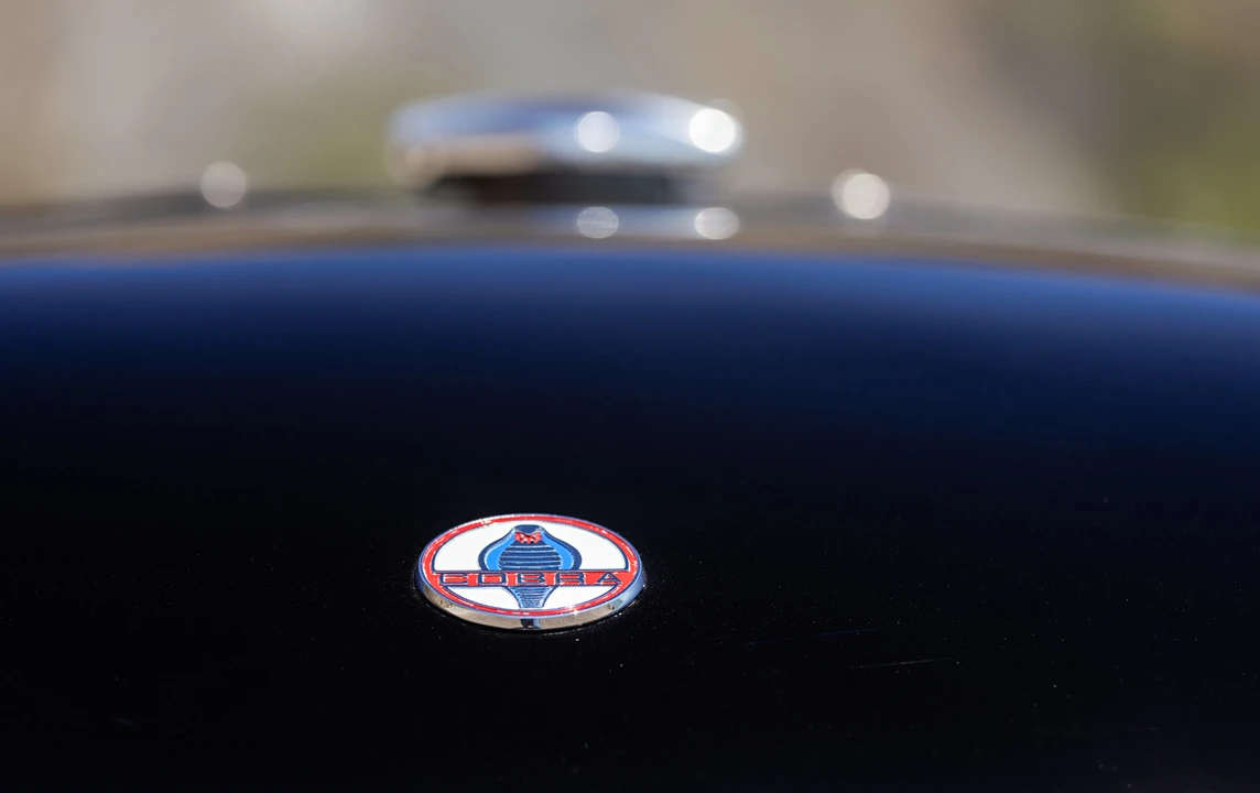 1964 Shelby Cobra 289 - Image 19 of 31