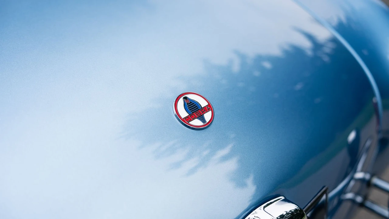 1964 Shelby Cobra 289 - Image 13 of 31