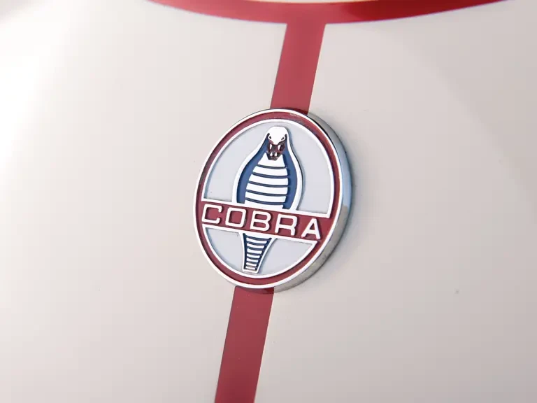 1964 Shelby Cobra 289 - Image 7 of 31