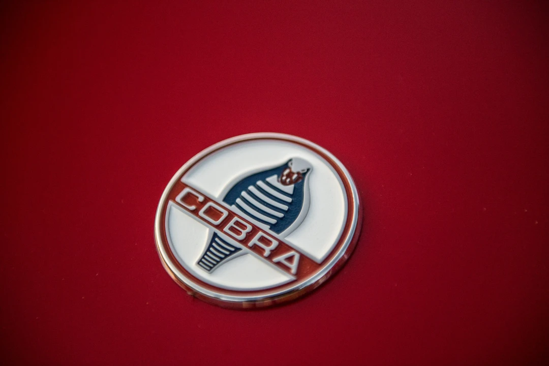 1964 Shelby Cobra 289 - Image 8 of 31