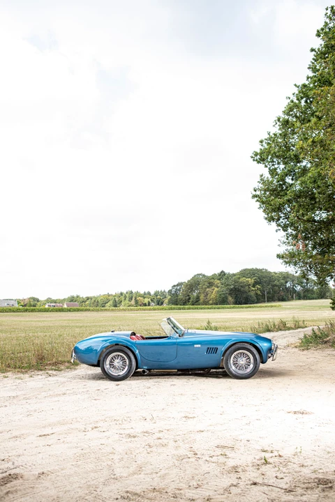 1964 Shelby Cobra 289 - Image 13 of 31