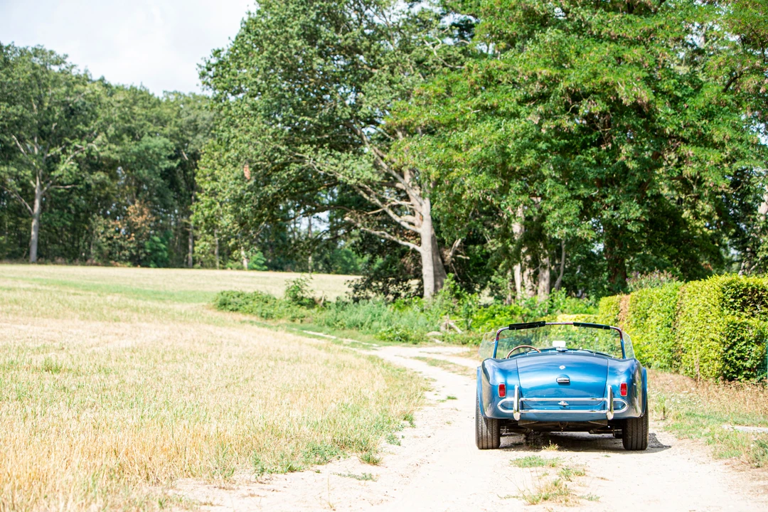 1964 Shelby Cobra 289 - Image 11 of 31