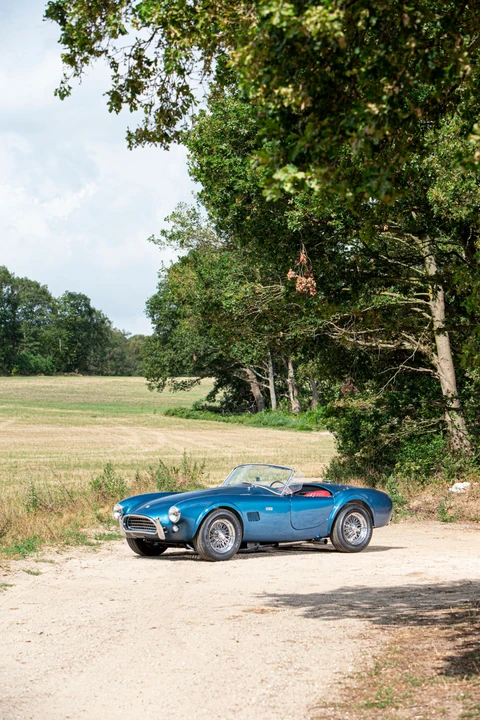 1964 Shelby Cobra 289 - Image 12 of 31