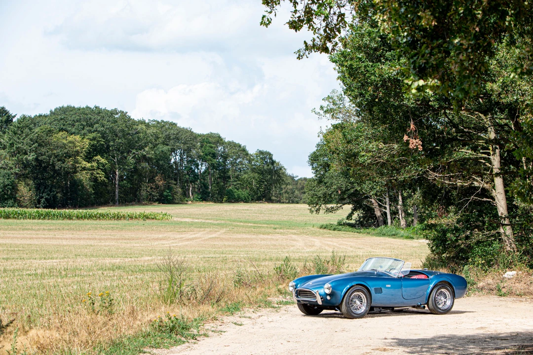 1964 Shelby Cobra 289 - Image 7 of 31