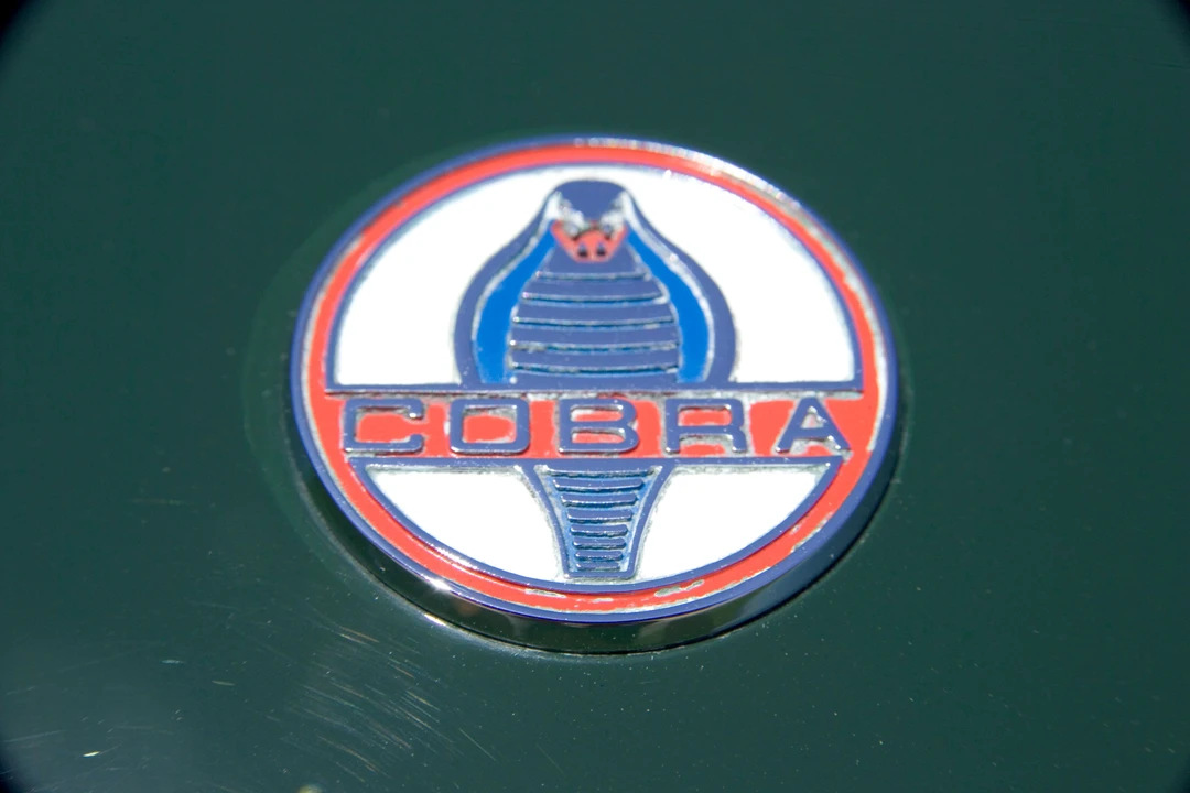 1964 Shelby Cobra 289 - Image 6 of 8