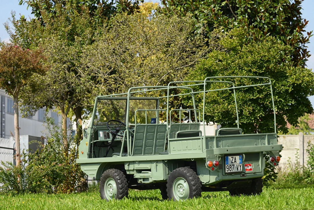 1964 Steyr-Puch Haflinger - Image 5 of 14