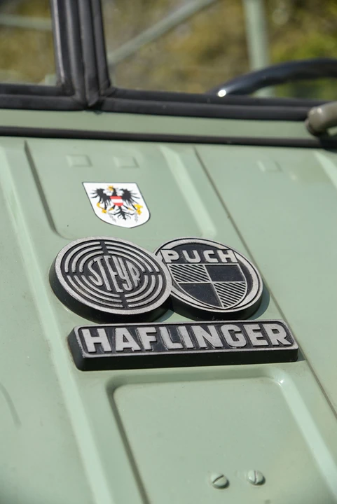 1964 Steyr-Puch Haflinger - Image 13 of 14