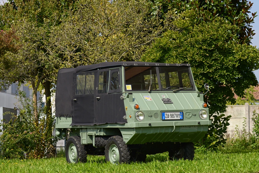 1964 Steyr-Puch Haflinger - Image 2 of 14