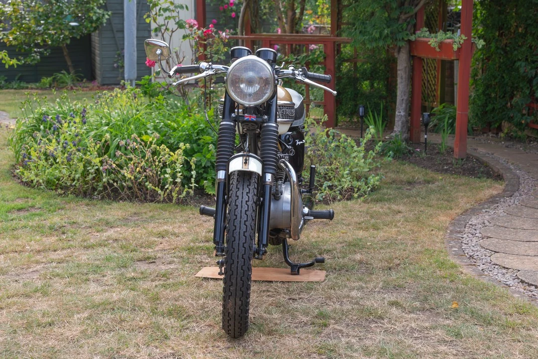 1964 Triumph Tiger (Triumph Engineering) - Image 12 of 30