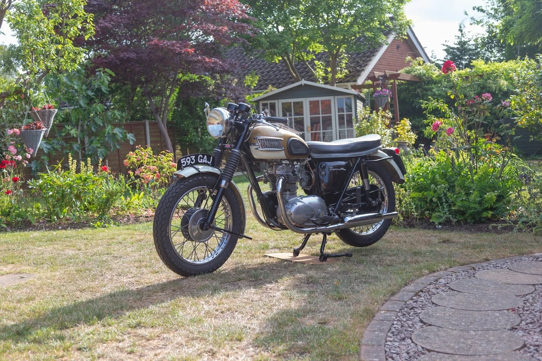 1964 Triumph Tiger (Triumph Engineering) - Image 19 of 30