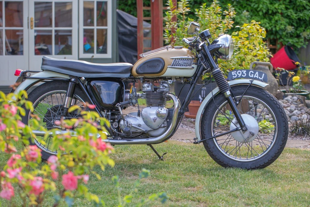 1964 Triumph Tiger (Triumph Engineering) - Image 28 of 30