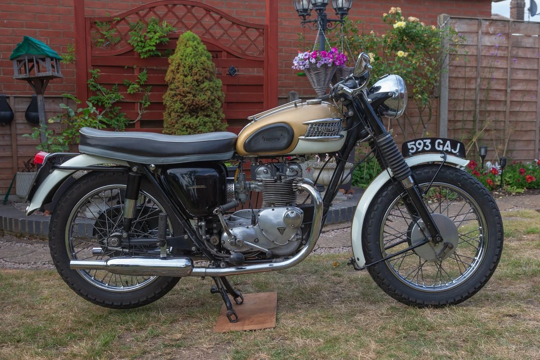 1964 Triumph Tiger (Triumph Engineering) - Image 13 of 30