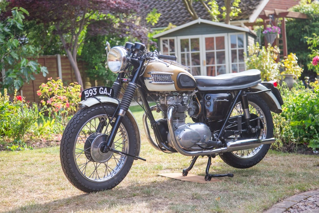 1964 Triumph Tiger (Triumph Engineering) - Image 15 of 30