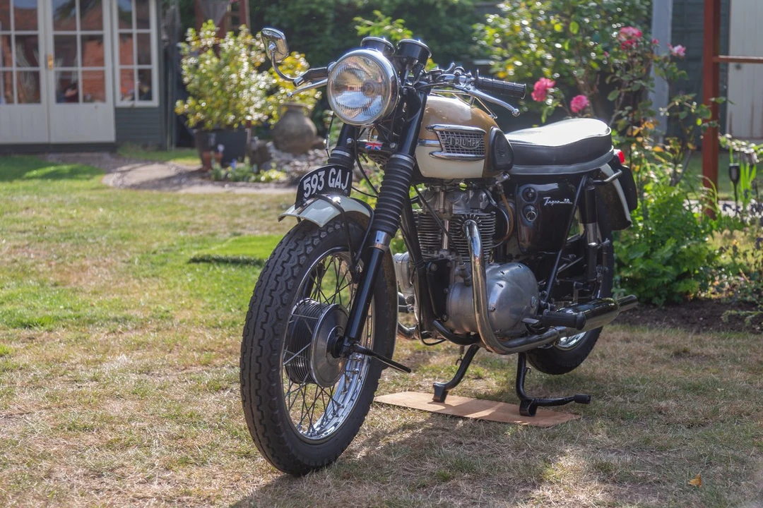 1964 Triumph Tiger (Triumph Engineering) - Image 20 of 30