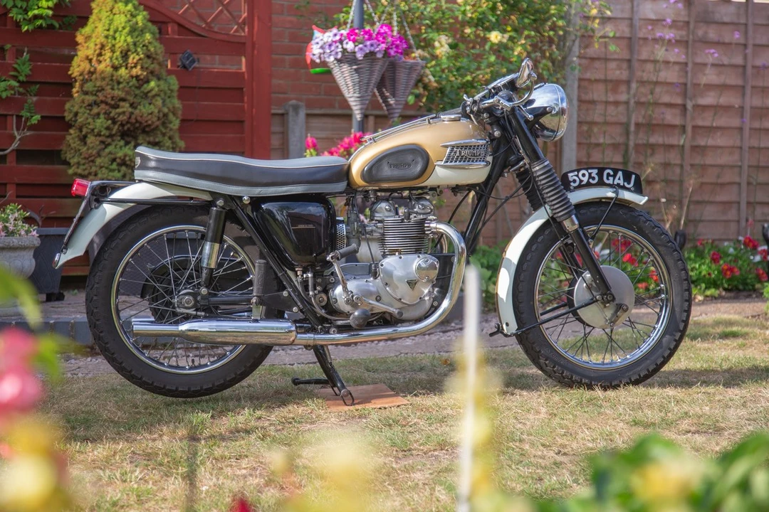 1964 Triumph Tiger (Triumph Engineering) - Image 26 of 30