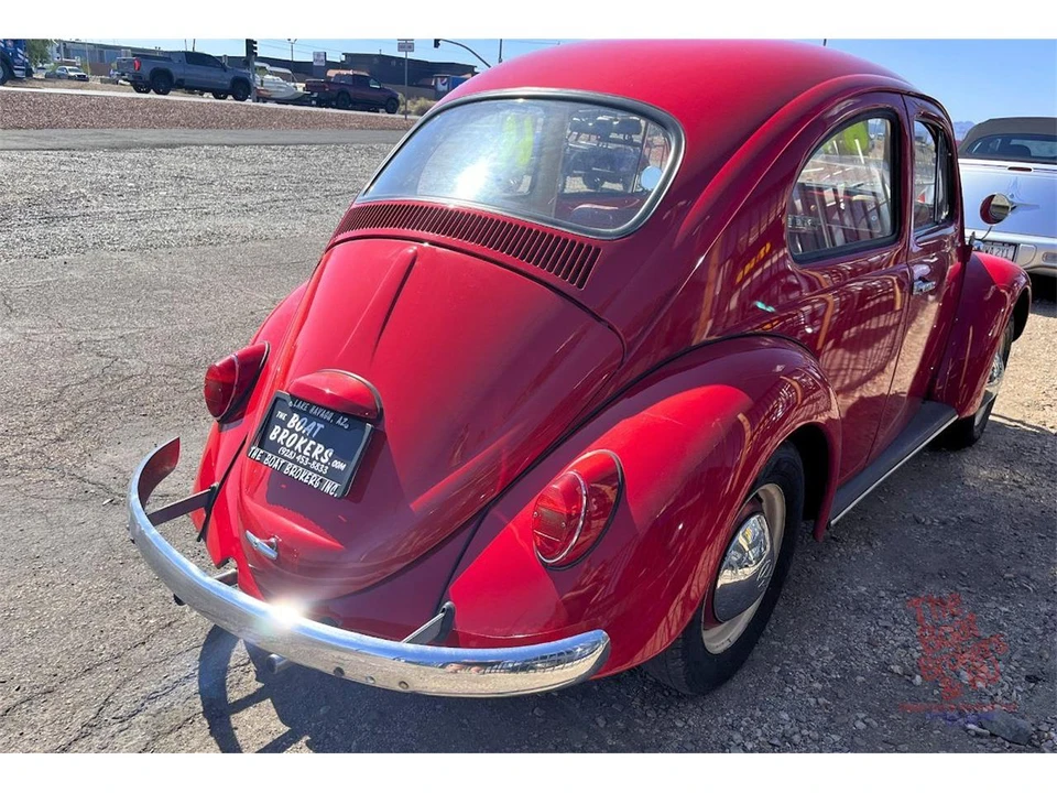 1964 Volkswagen Beetle (1958-1979) - Image 7 of 10