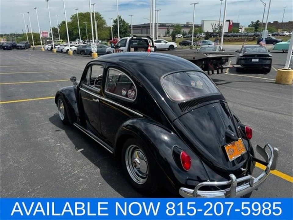 1964 Volkswagen Beetle (1958-1979) - Image 8 of 31