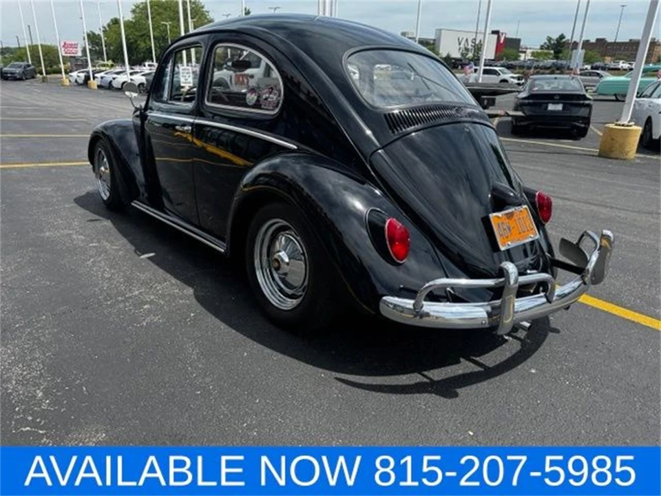 1964 Volkswagen Beetle (1958-1979) - Image 9 of 31