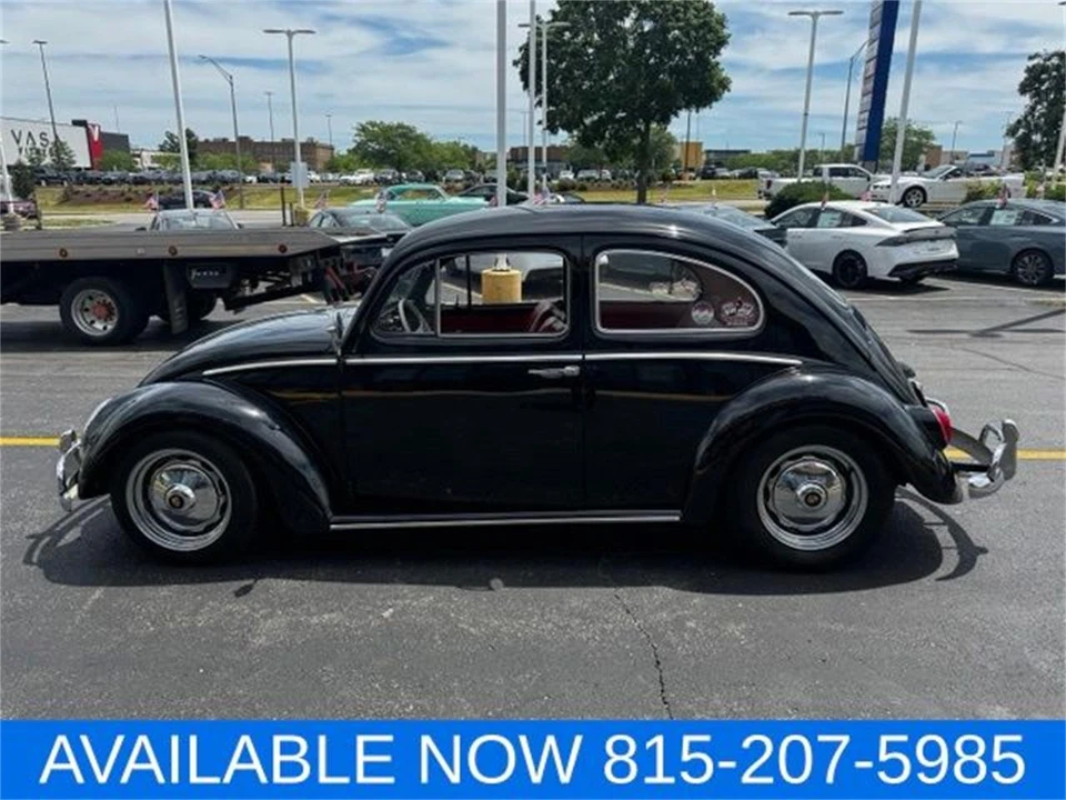 1964 Volkswagen Beetle (1958-1979) - Image 7 of 31