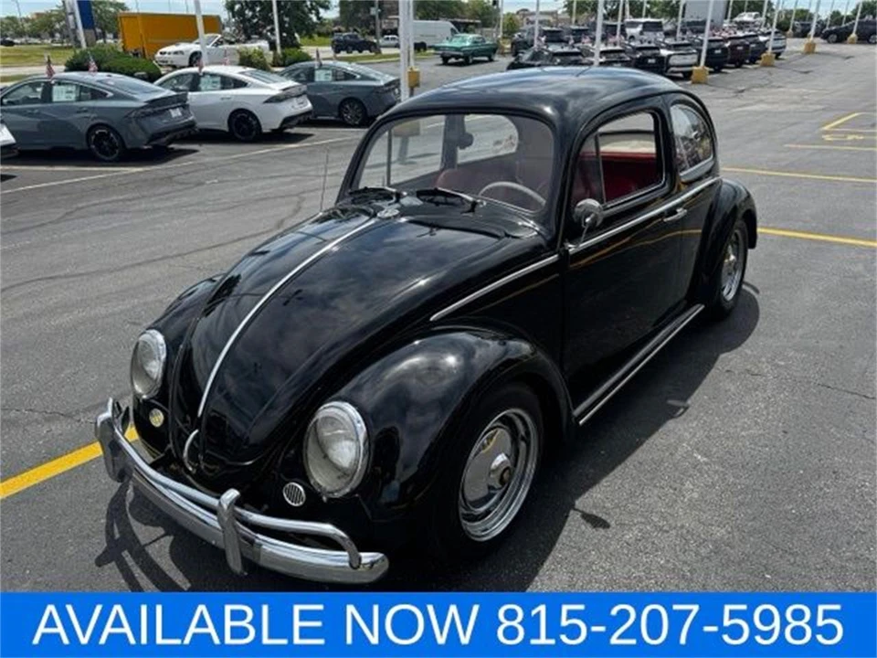 1964 Volkswagen Beetle (1958-1979) - Image 11 of 31