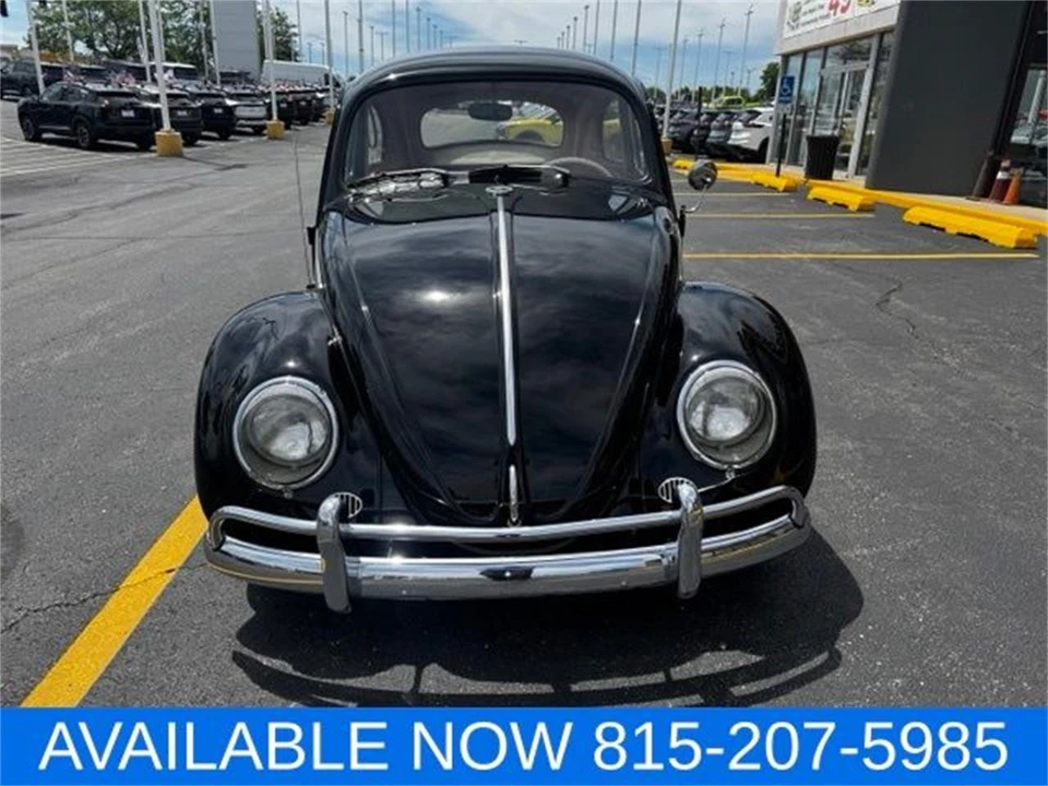 1964 Volkswagen Beetle (1958-1979) - Image 14 of 31