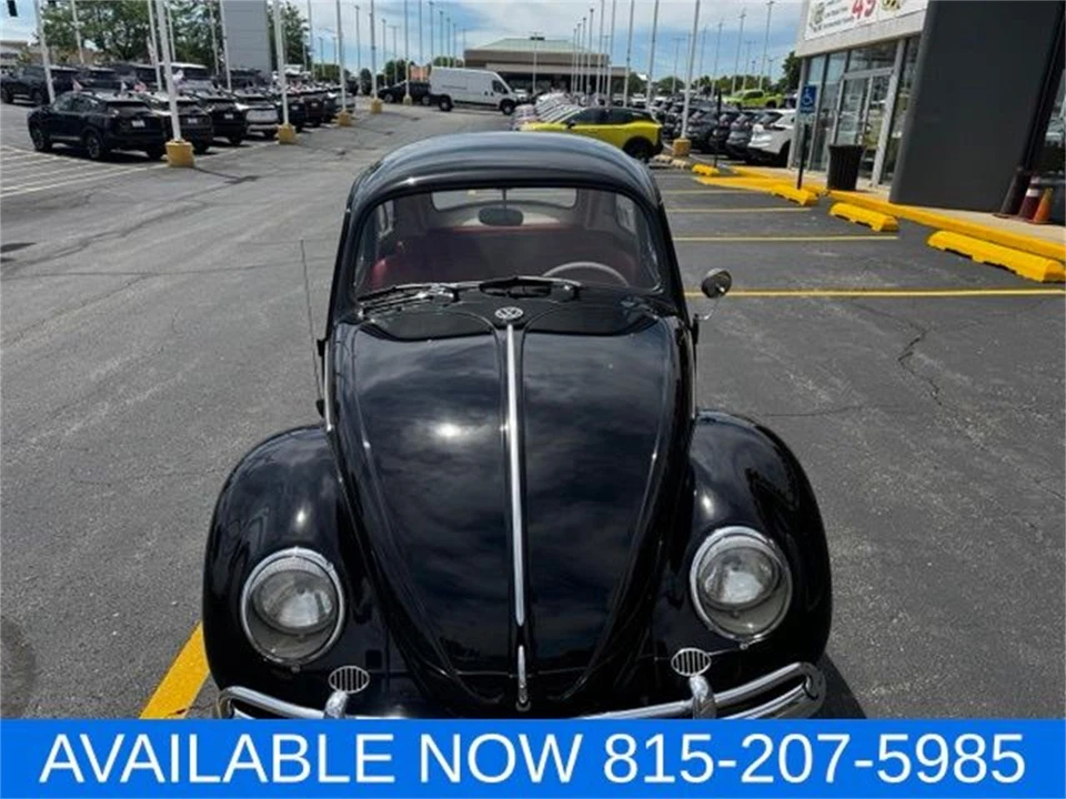 1964 Volkswagen Beetle (1958-1979) - Image 13 of 31