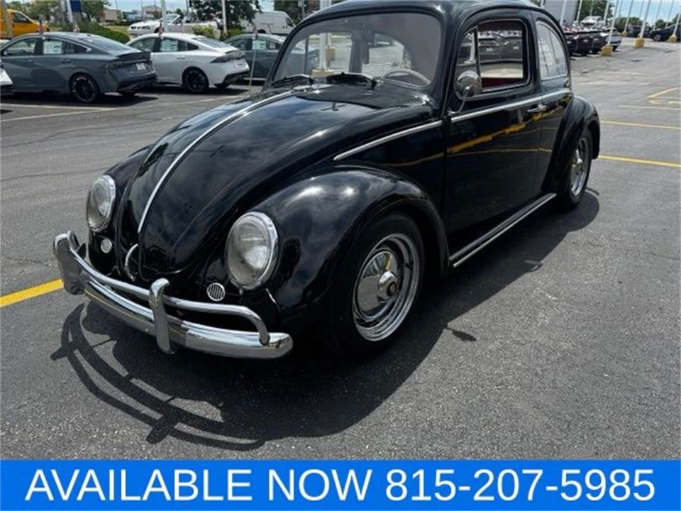1964 Volkswagen Beetle (1958-1979) - Image 10 of 31