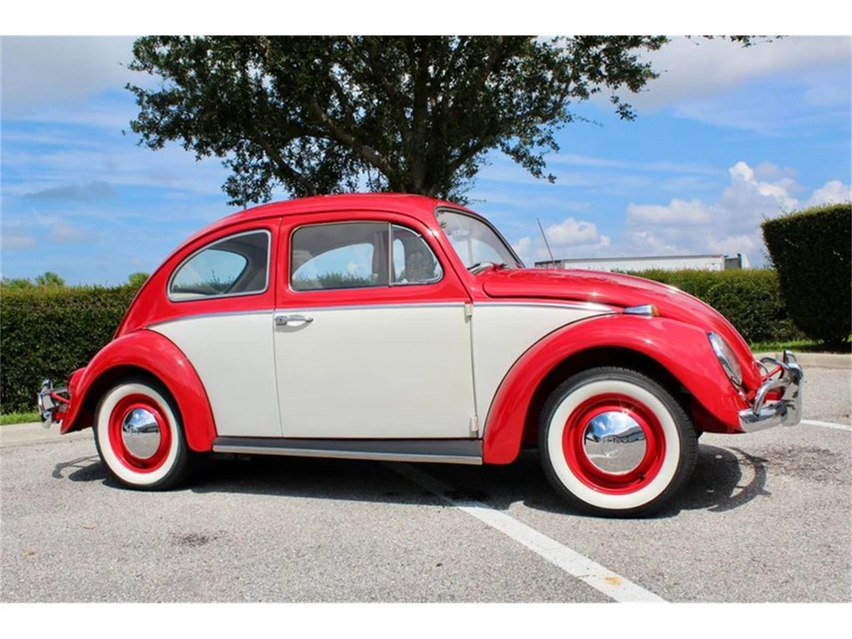 1964 Volkswagen Beetle (1958-1979) - Image 3 of 31