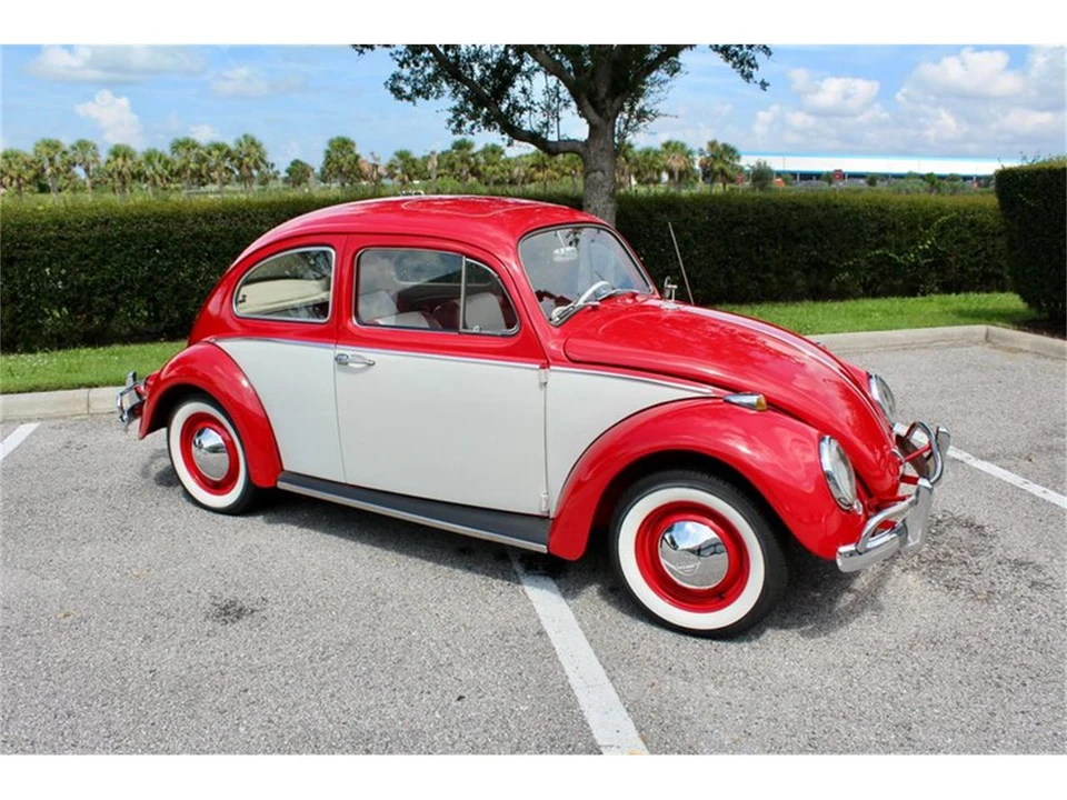 1964 Volkswagen Beetle (1958-1979) - Image 17 of 31